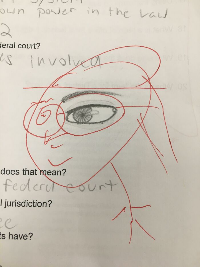 My Government Teacher Finished My Doodle For Me