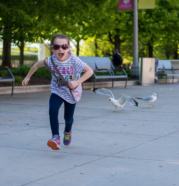 My Niece Likes To Chase Seagulls. The Seagulls In Chicago Chase Back