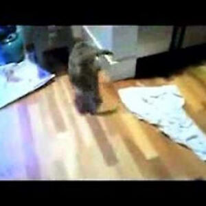 terryharrison_1 avatar