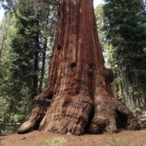 cathykelley2023 avatar