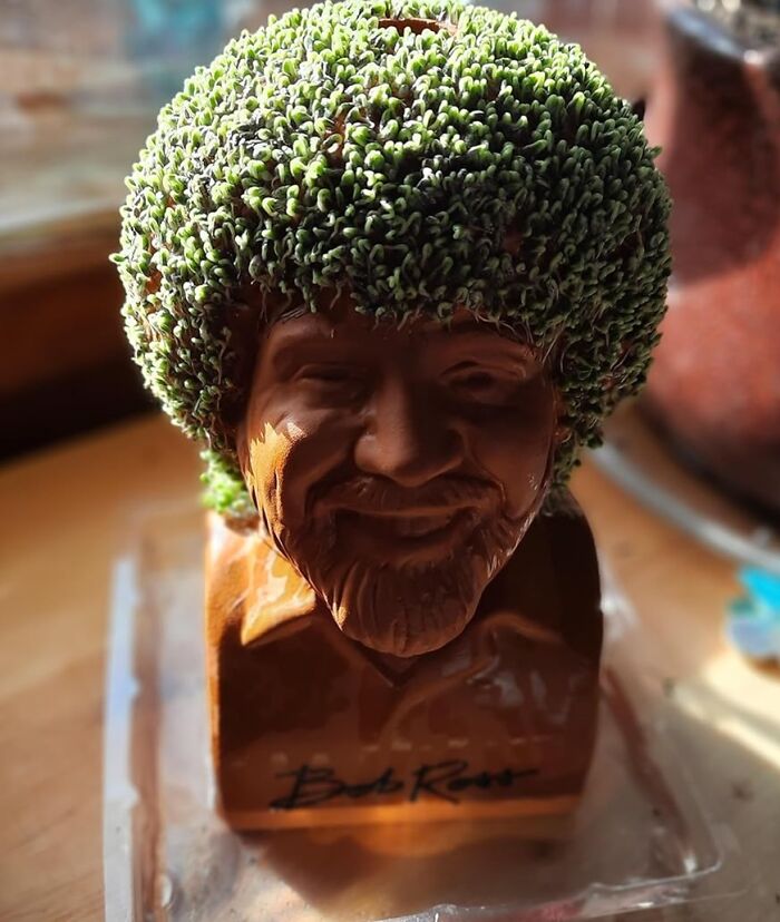 Grow Your Own Happy Little Trees With Bob Ross Chia Pet 