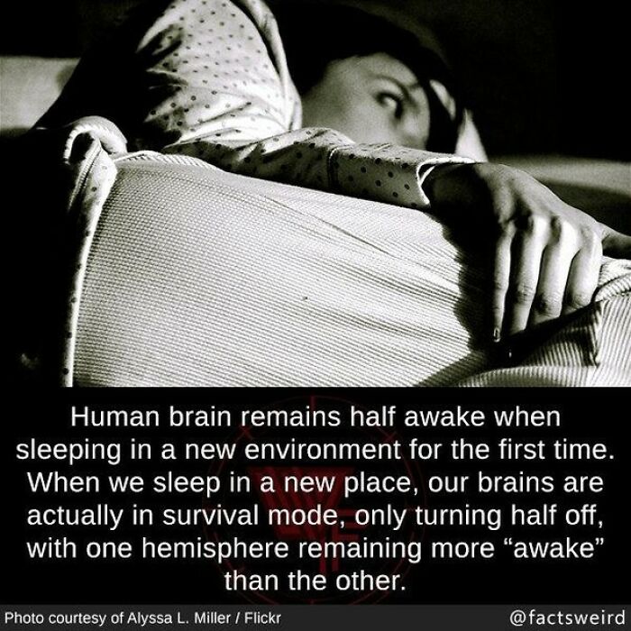 Yeeeeeesl🙌🙌finally😂😂i Knew Something Is Wrong With Me.i Can't Sleep Anywhere Without Opening My Eyes Every Hour😂😂😂😂