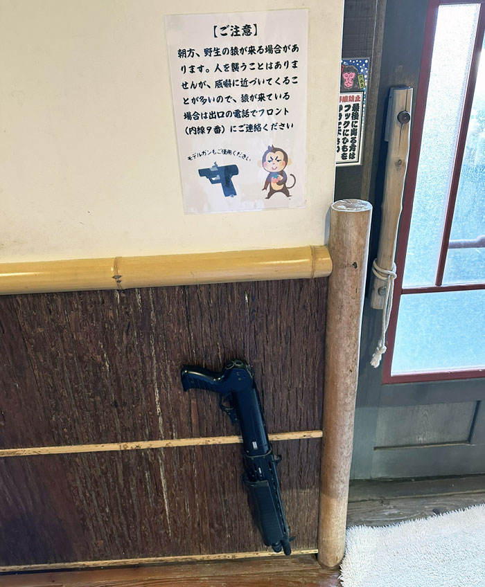 Fake Gun To Scare Snow Monkeys In A Japanese Onsen. This Is Only For The Women's Side. The Men's Side Doesn't Have It
