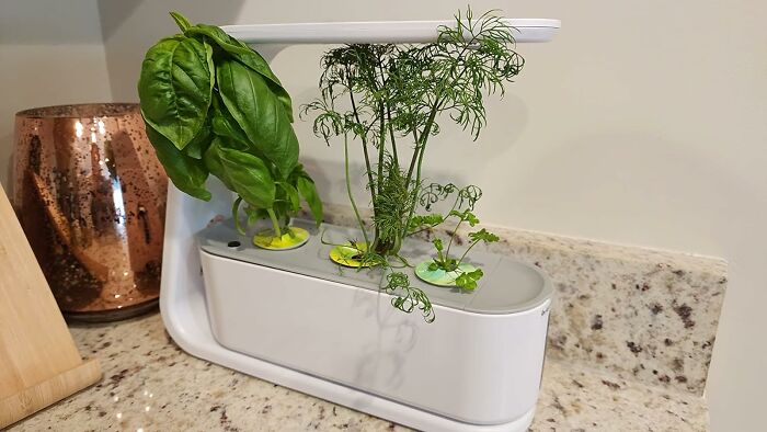 Experience Freshness With AeroGarden Sprout: Complete With Gourmet Herbs Seed Pod Kit For Flavorful Homegrown Delights