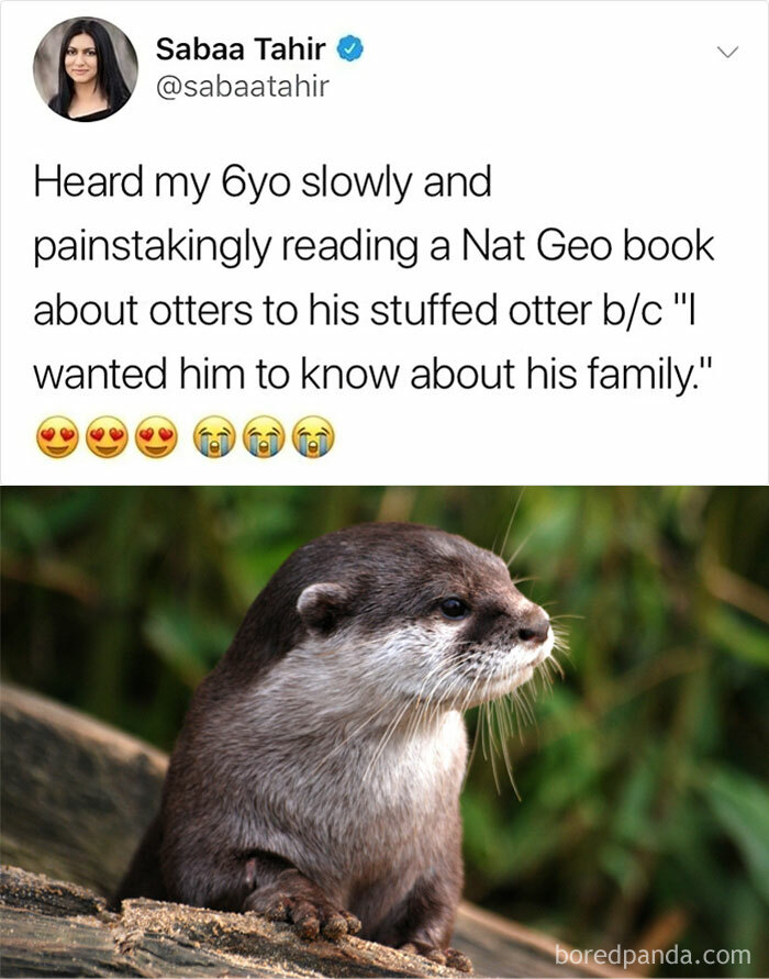 Otter Family