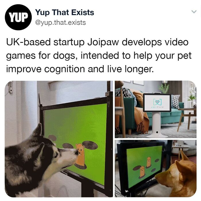 Please Tell Me They Can Play Online Against Other Doggos' 😂