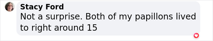 New Study Of 150 Dog Breeds Finds Size, Gender, And Nose Shape All Correlate With Dog Lifespan New Study Of 150 Dog Breeds Finds Size, Gender, And Nose Shape All Correlate With Dog Lifespan