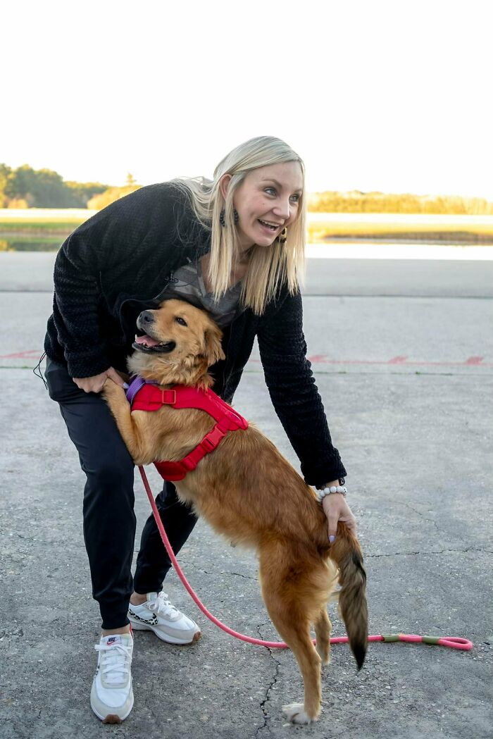 Saved After 8 Days In A Shipping Container, Connie The Dog Is Revealed To Be Expecting