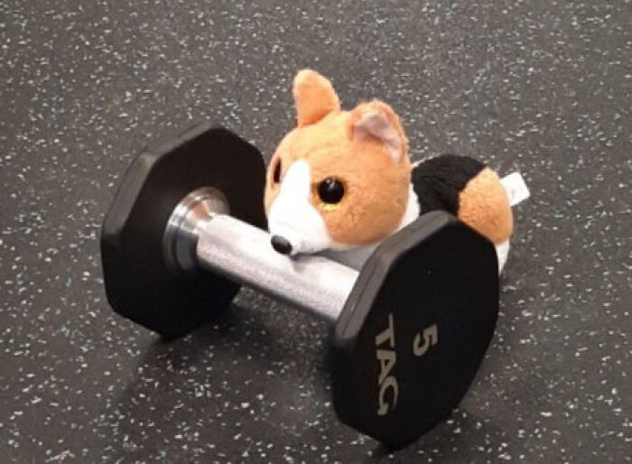 Family Was Distressed After Son’s Toy Was Left Behind Until Hotel Staff Saved The Day Family Was Distressed After Son’s Toy Was Left Behind Until Hotel Staff Saved The Day