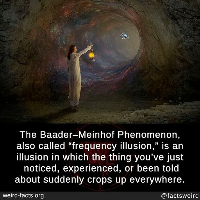 Is That Where The Baader- Meinhof Gang Got Their Name; Or Is The Phenomenon Named After Them? Or Does One Have Nothing To Do With The Other? I Want To Know