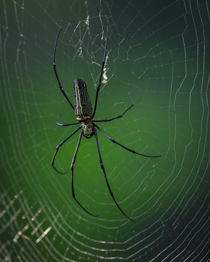 35 Fascinating Things About Australia That Shocked Visitors