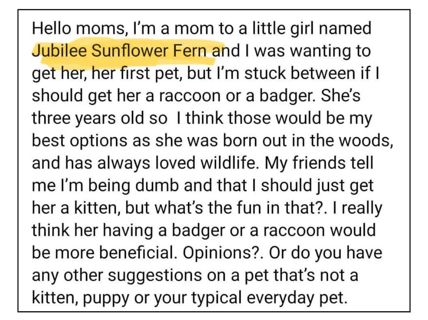 Yeah… That Tracks That The Mom Of Jubilee Sunflower Fern Wants To Get Her Pet Badger Because A Cat Or Dog Is Too Normal