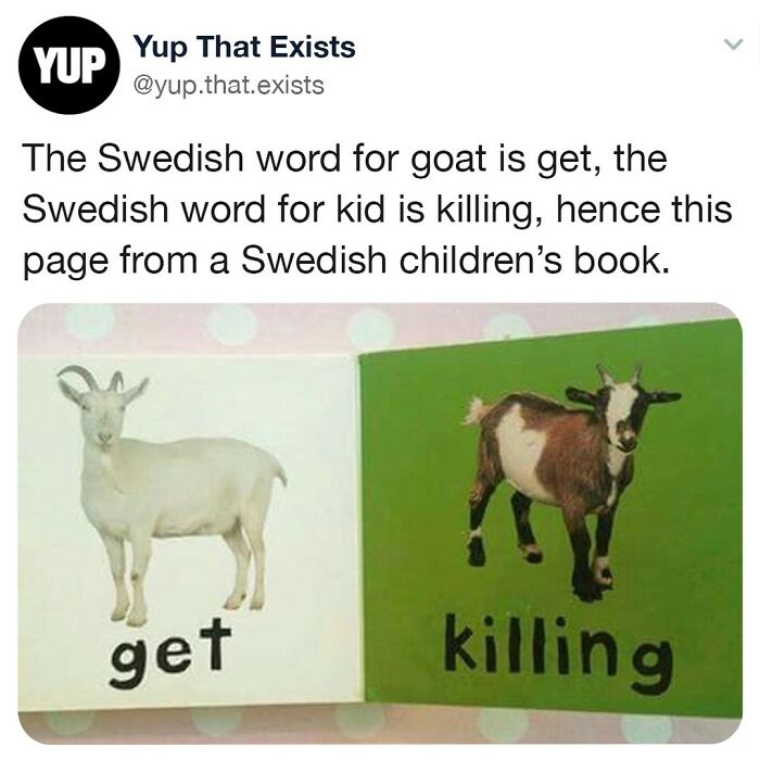 Now You Know Why I Don't Trust Goats 🐐