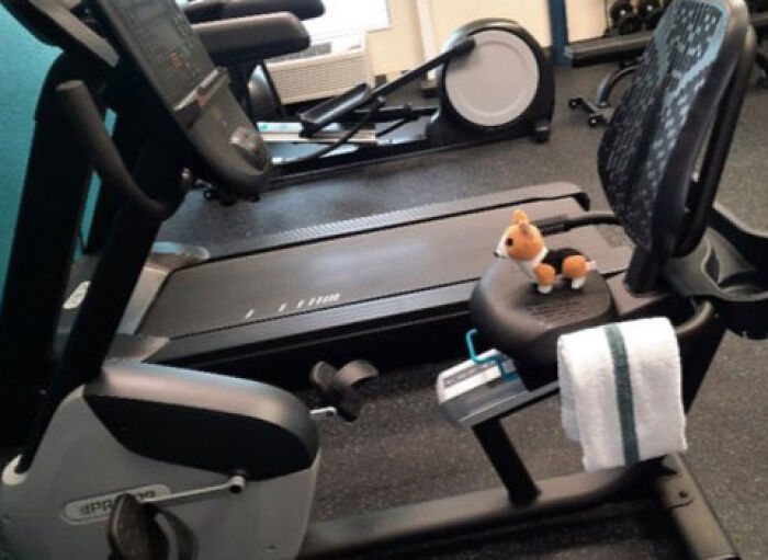 Family Was Distressed After Son’s Toy Was Left Behind Until Hotel Staff Saved The Day Family Was Distressed After Son’s Toy Was Left Behind Until Hotel Staff Saved The Day