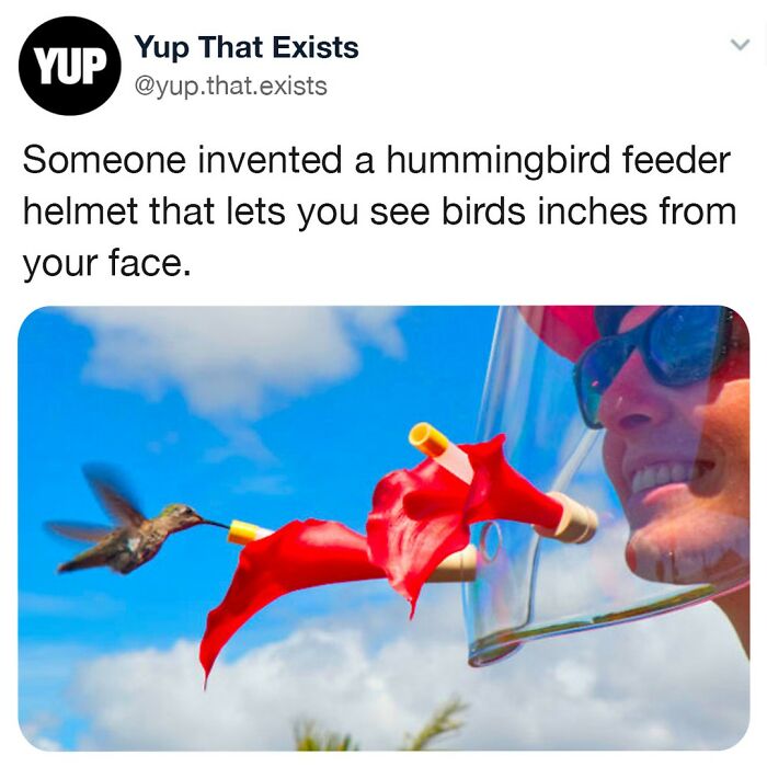 Ladies And Gentlemen, I Give You The Hummingviewer 😂