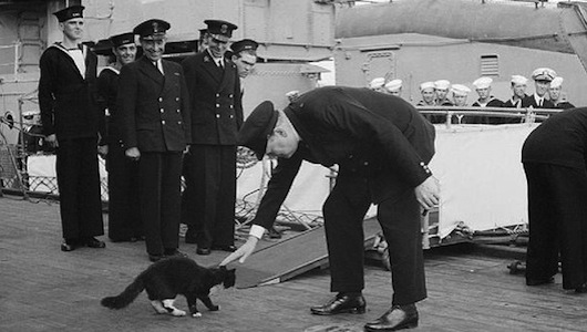 Blackie-the-cat-meets-Churchill-aboard-her-homestead-the-HMS-Prince-of-Wales-2091812832-65c1f06739289.jpg