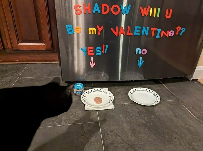 He Said Yes! 