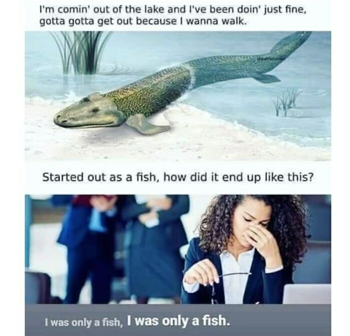 I Was Only A Fish