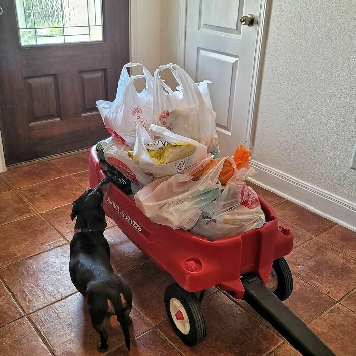If You Have One Of These Wagons And Get Groceries Delivered, Have Them Put The Groceries In The Wagon. That Way You Can Make One Trip From The Front Door To The Kitchen Instead Of 5 Million