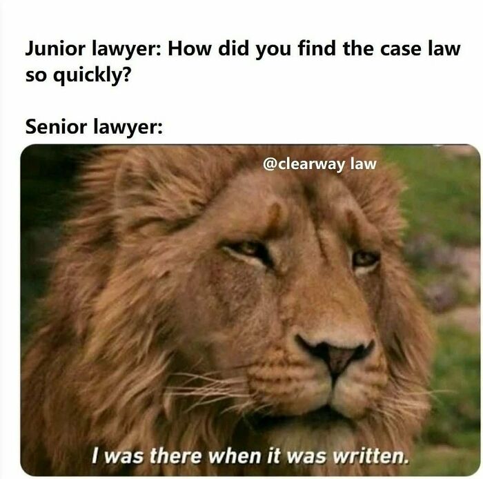 Attorney-Problems-Memes