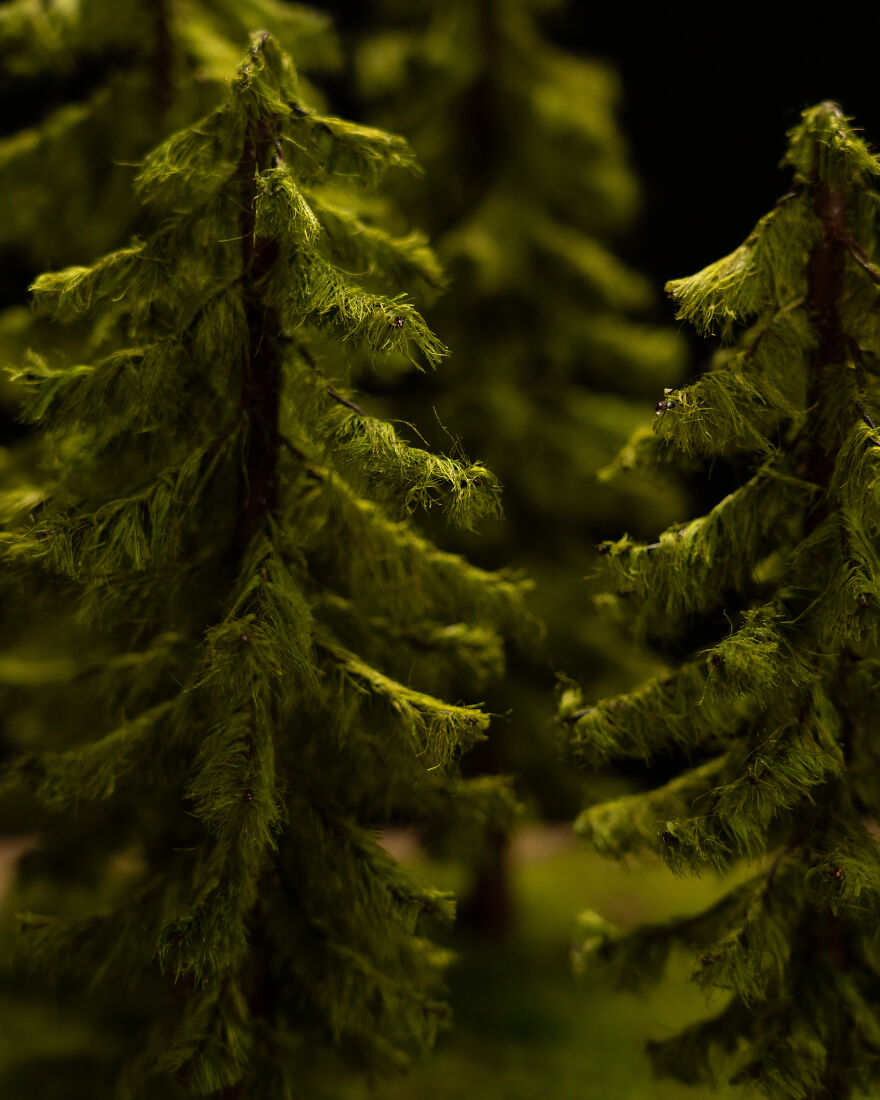 I Made An Epic Fantasy Diorama "The Flaming Gatekeeper" I Made An Epic Fantasy Diorama "The Flaming Gatekeeper"