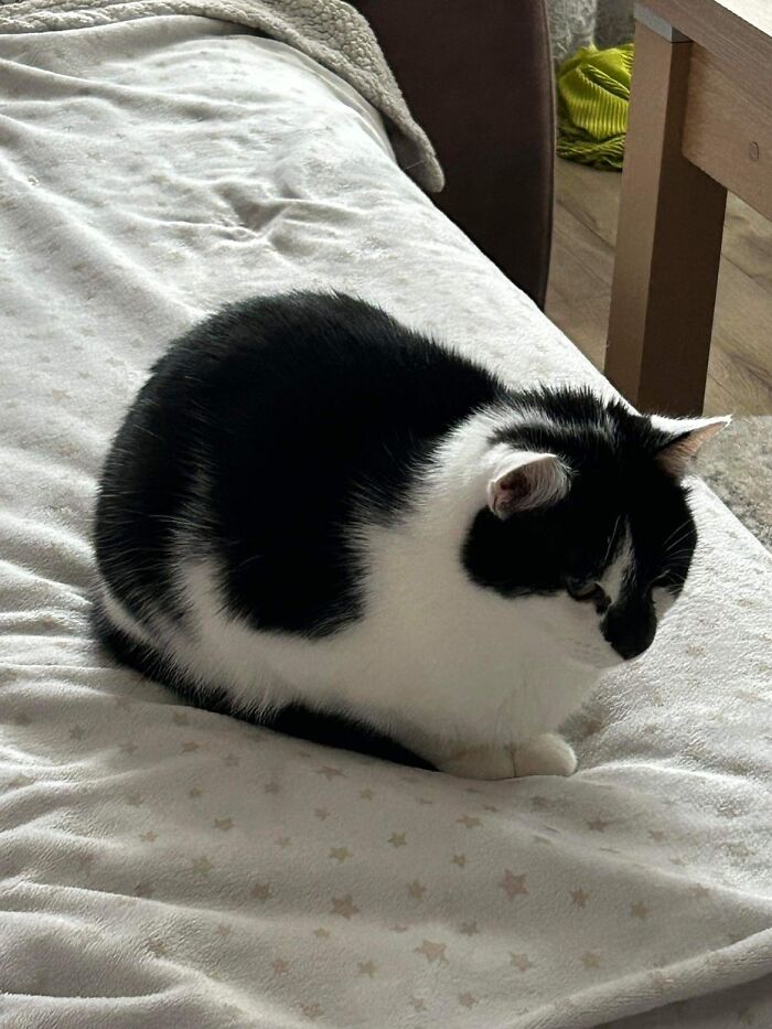 He's Just Loafing