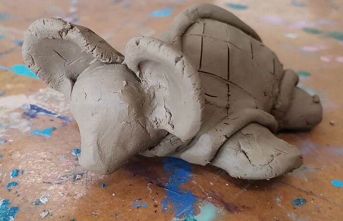 Turtle Mouse