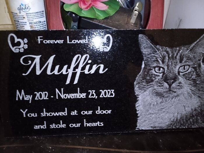 It's Not Weird, But I Get Headstones For My Special Kitties