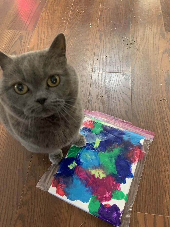 Moppet The Artist