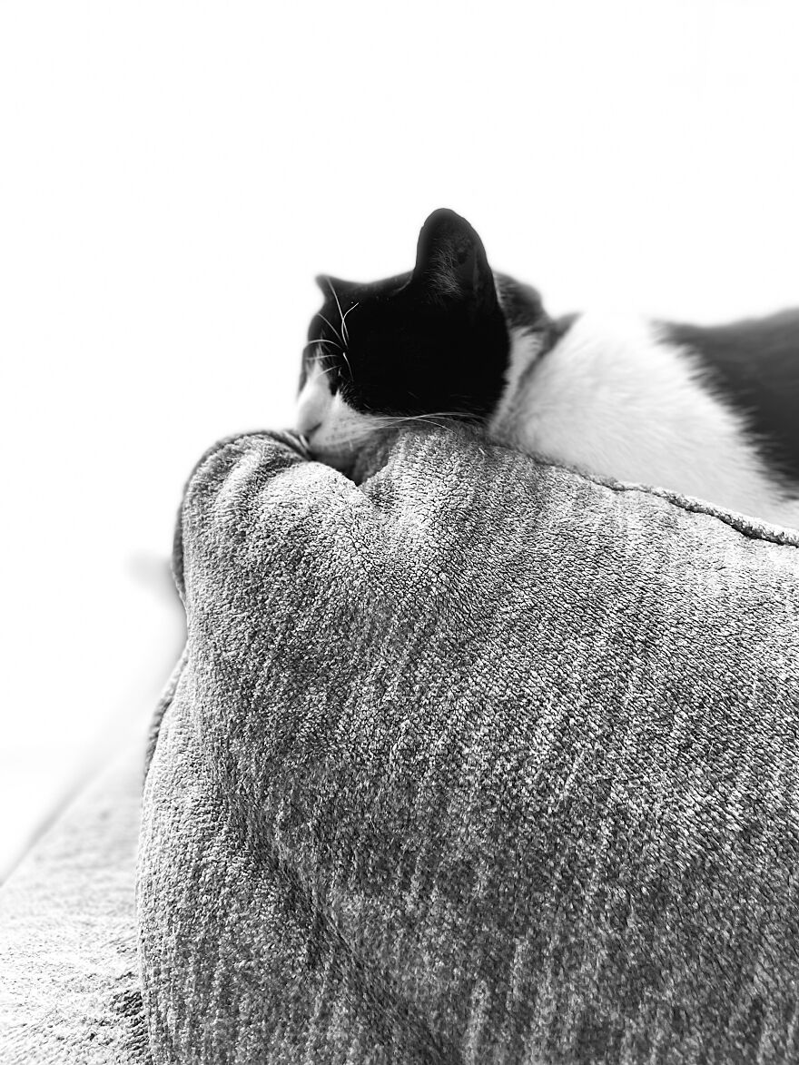 Looking At The Future Looking At The Future