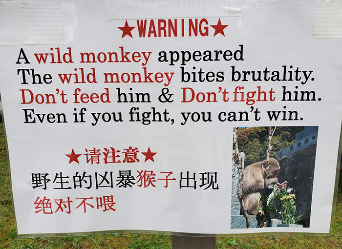 Don't Fight The Monkey