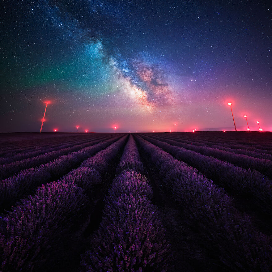 Lavender Fields Under The Milky Way With Wind Generators