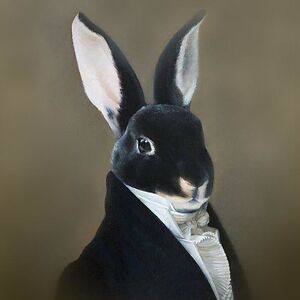 freya-coppieters avatar