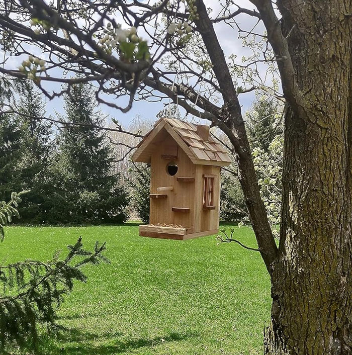 Feather Your Nest: Sparkjump's Cedar Kit Makes Birdhouse Kit Building A Tweet!