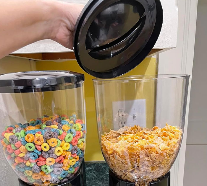 Never Deal With Messy Spills Again - The Dry Food Dispenser Is Your New Kitchen Sidekick!