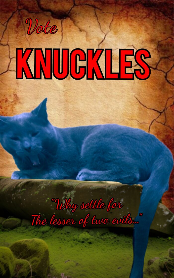 Vote Knuckles