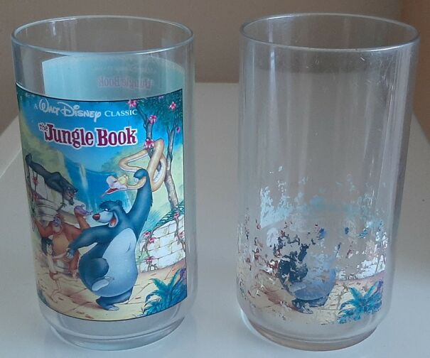 Riels-Jungle-Book-glasses-2004-2024-65de14fd4427d.jpg