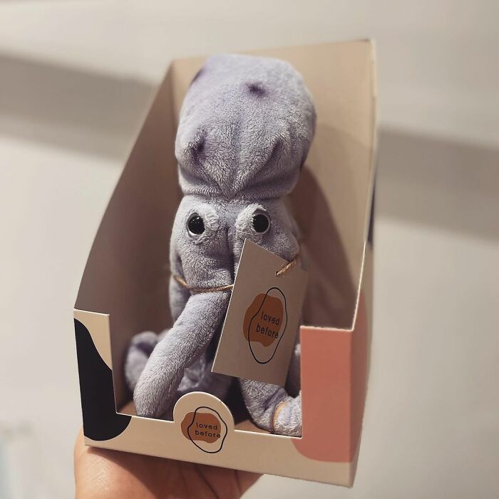 “Loved Before” Company Gives Old Soft Toys A Second Chance “Loved Before” Company Gives Old Soft Toys A Second Chance