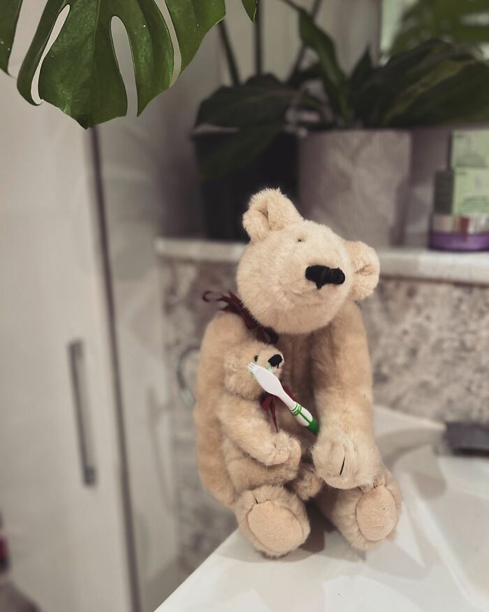 “Loved Before” Company Gives Old Soft Toys A Second Chance “Loved Before” Company Gives Old Soft Toys A Second Chance