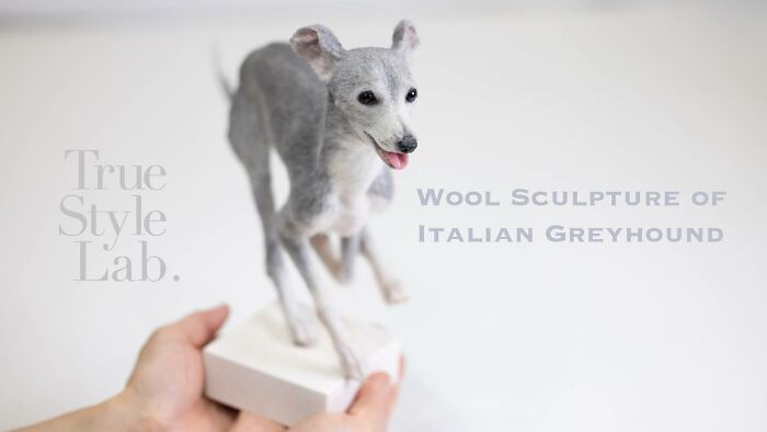 These Animals Are Taking The Internet By Storm, But They're Entirely Handmade From Wool Felt
