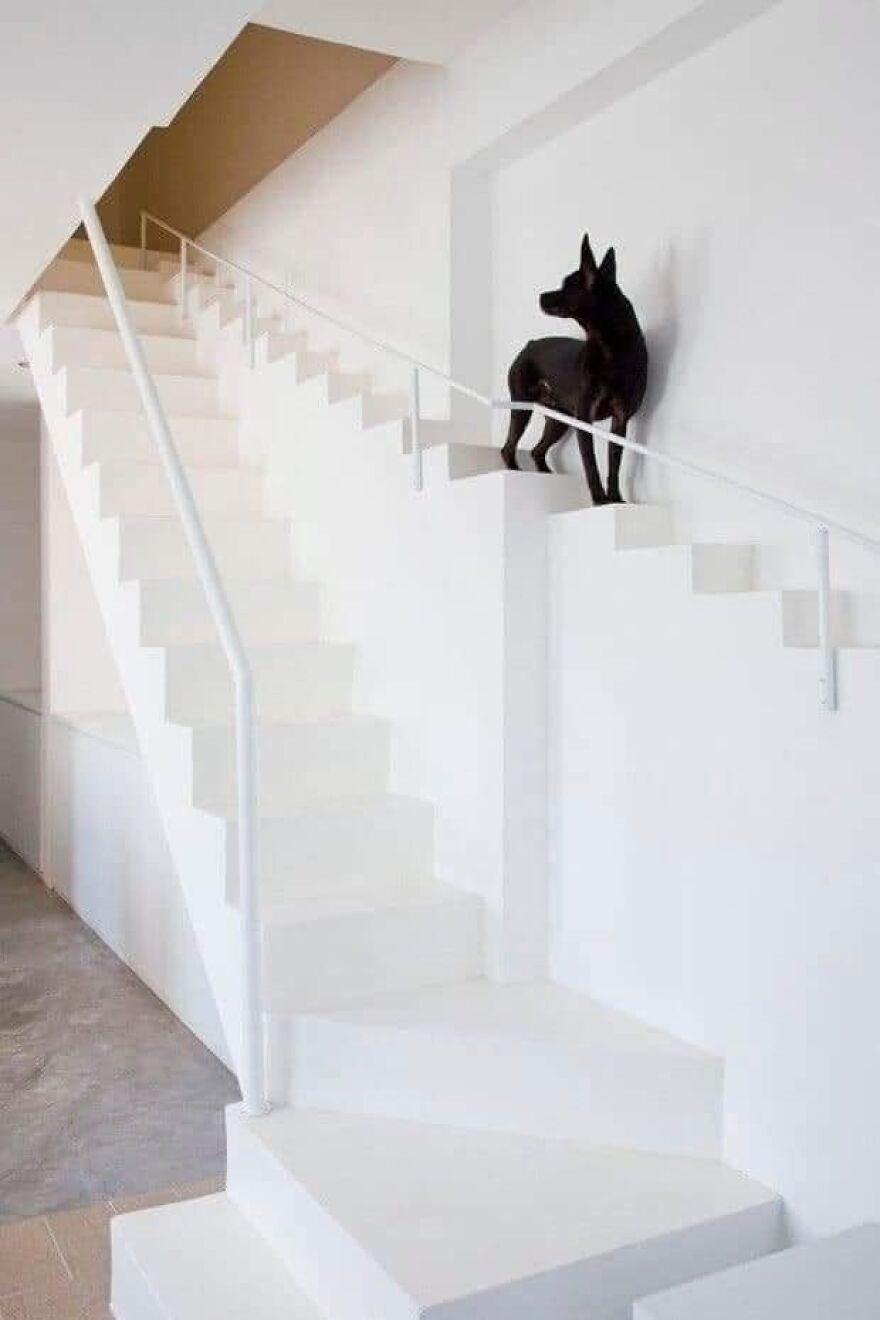 Me: Adds “Dog Stair” To List Of Potential House Features