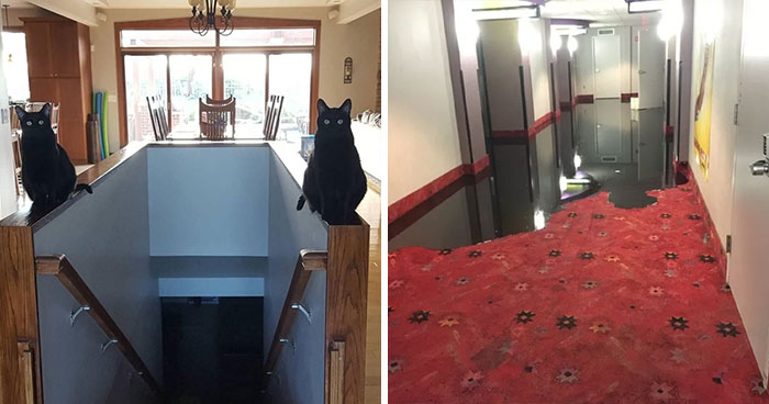 30 Times People Encountered Real-Life Moments So Distinct, They Belonged In A Kubrick Movie