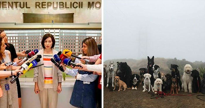 50 Aesthetically Pleasing “Accidental Wes Anderson” Moments People Have Captured In Real Life (New Pics)