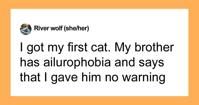 Hey Pandas, AITA For Being Irritated When My Brother Asks Me To Get Rid Of My Cat?