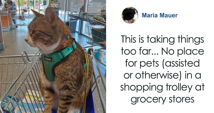 Purr-Hibited: People Fume Over Aldi Shopper After She Brought Her Cat To The Store