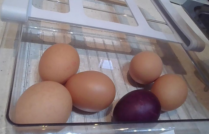 Uno de los huevos que he comprado esta mañana es morado