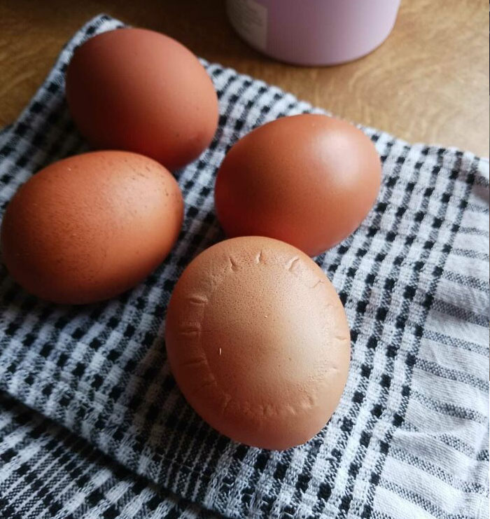Strange Markings On Our Chicken's Egg This Morning. The Usual Eggs For Comparison