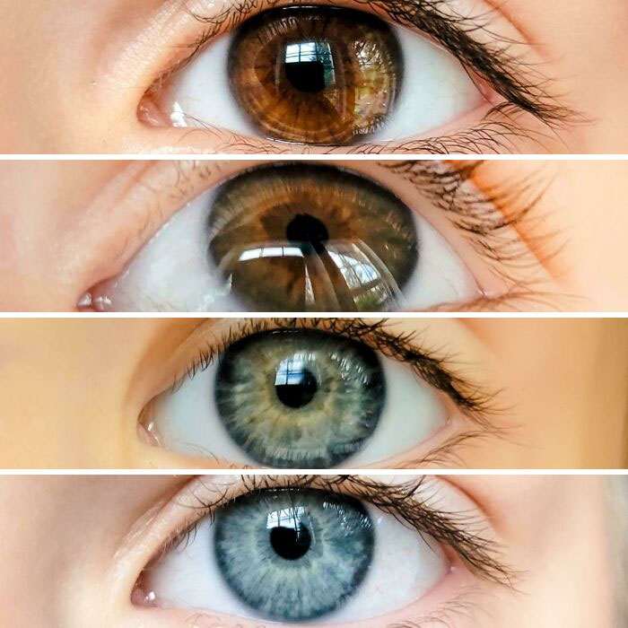 Mi marido tiene los ojos marrones y yo azules. Estos son los ojos de nuestros 4 hijos