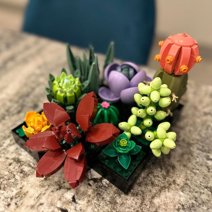 Elevate Your Decor With LEGO Icons Succulents 10309: A Botanical Masterpiece For Adult Builders!