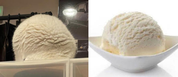5 kilos de helado de vainilla